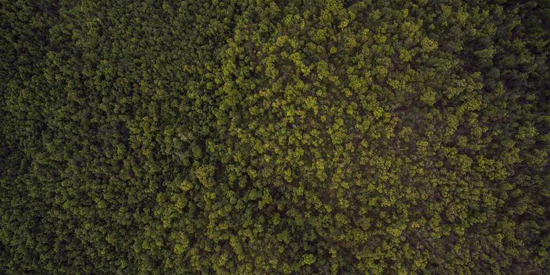 中国新能源888：分布式光伏如何驱动工业园区微电网绿色转型与效益提升