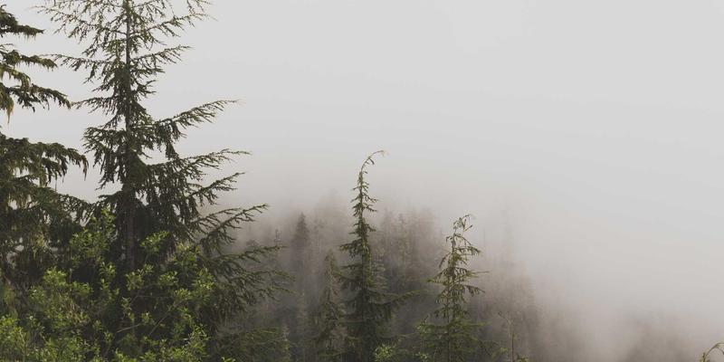 中国新能源888：太阳能驱动绿氢，如何重塑钢铁与化工的脱碳未来？