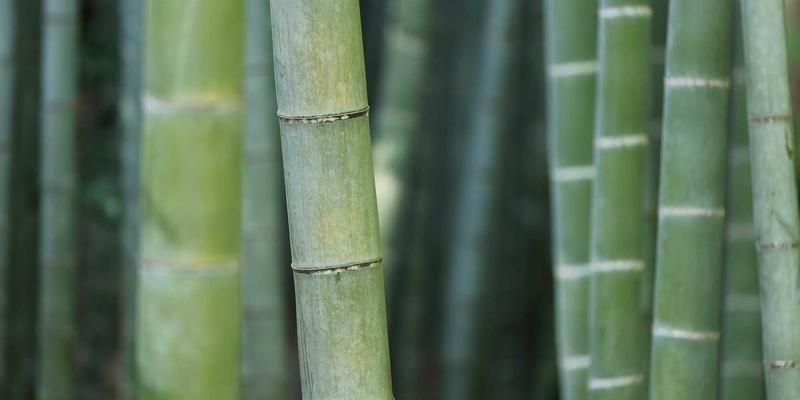 中国新能源888：引领绿色能源革命，塑造可持续发展未来