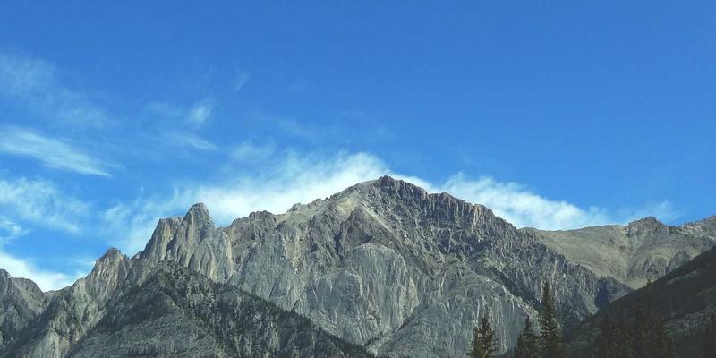 从风能到负排放：探索生物质能与碳捕获技术结合的新能源革命