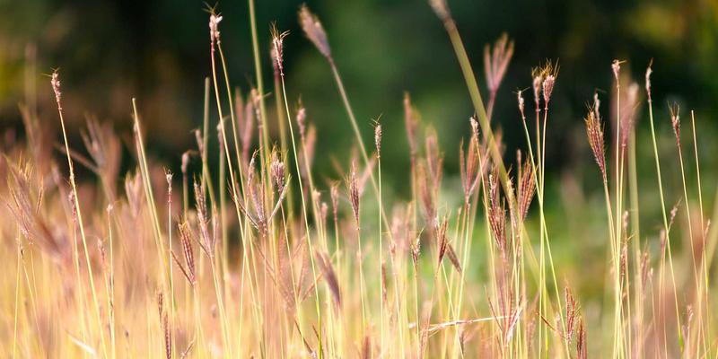 储能技术与新能源革命：可再生能源微电网如何重塑偏远地区及岛屿的能源韧性
