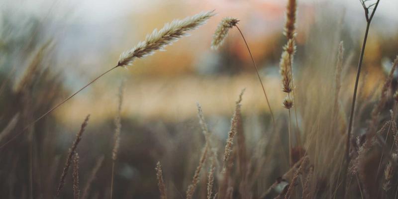 太阳能与可再生能源驱动：绿氢技术路径与经济性深度解析