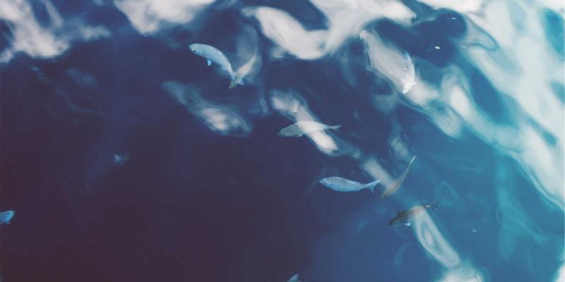 太阳能：引领绿色能源革命，开启可再生能源新纪元