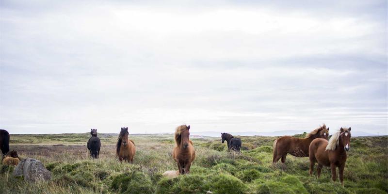 新能源100：中国新能源888引领绿色能源革命，太阳能产业领跑全球