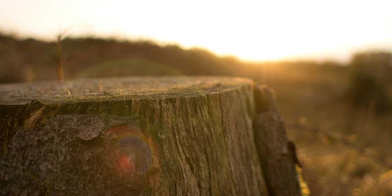 新能源73:储能技术如何成为可再生能源大规模应用的关键支柱