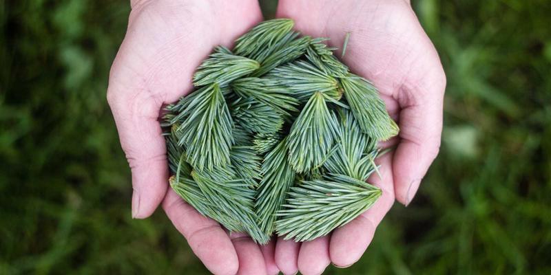 新能源汽车V2G技术：将电动车变为移动储能单元，如何与太阳能协同重塑中国新能源888版图