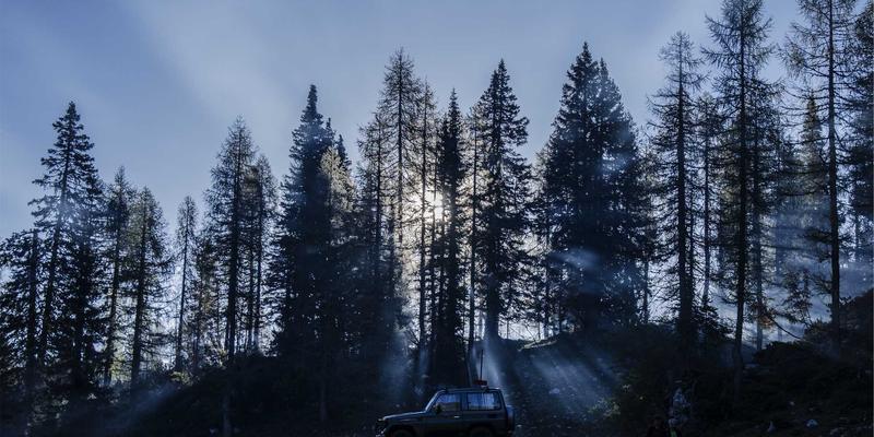 新能源装机突破8.88亿千瓦！构网型储能如何成为电力系统稳定“压舱石”？