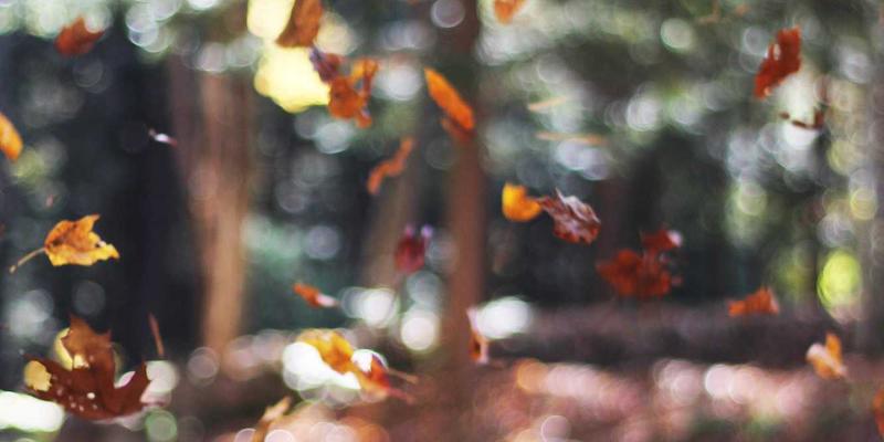 新能源革命：太阳能、绿色能源与储能技术如何重塑未来能源格局