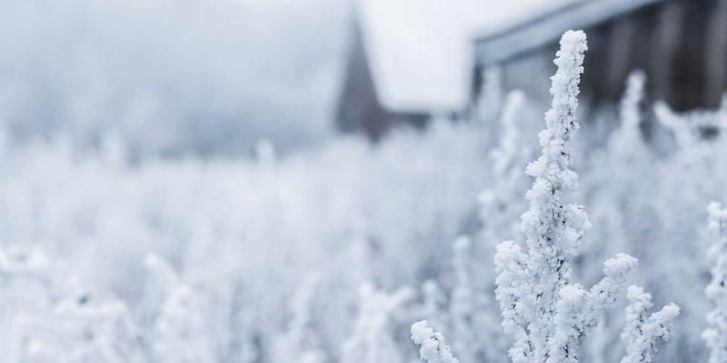 新能源革命新引擎：V2G技术如何利用太阳能与风能实现电网削峰填谷
