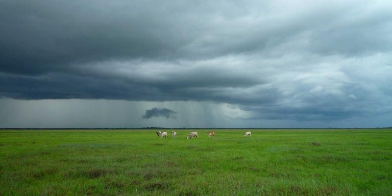 绿色能源怎么用?太阳能与风能的家庭及社区实践指南