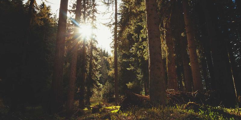 绿色能源革命:三大新能源技巧与储能技术突破