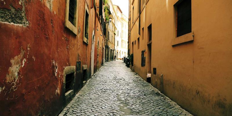 风电项目开发中的环境影响评估与生态保护措施：平衡可再生能源发展与自然守护