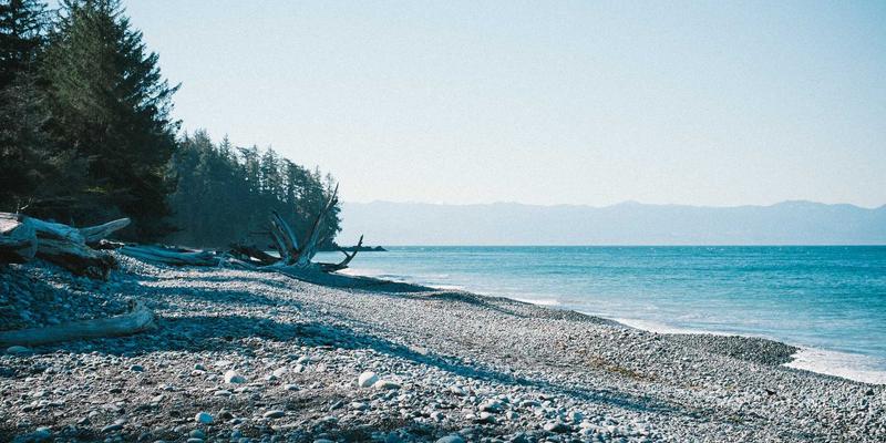 风能领航绿色革命:新能源应用如何重塑未来能源格局